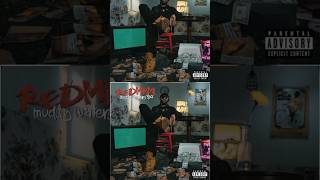 #redman #muddywaterstoo #rap #hiphop #snowstorm #thoughts #music #method #blackout #90s #goat #art