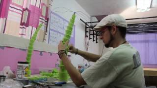 Palmeras y más palmeras!!