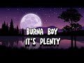 It's Plenty- Burna boy (Lyrics Video)