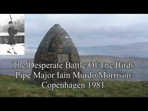The Desperate Battle Of The Birds by Pipe Major Iain Morrison