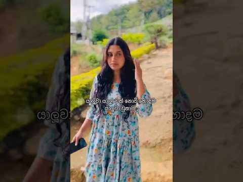 Friend ❌ Best Friend ✅#trending #viral #fyp #reels