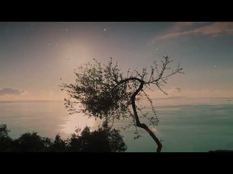 Burri dhe gruaja plotesues te njeri tjetrit