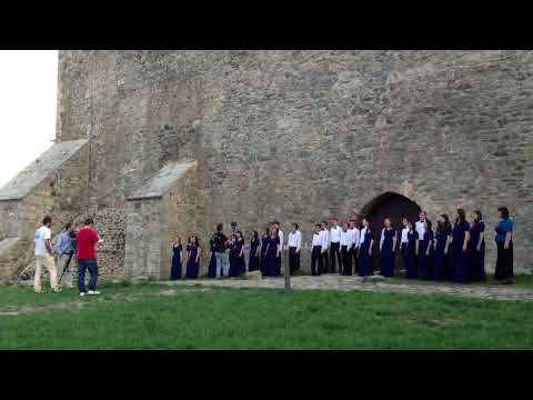 Prieteni pe Pamant! - Corul Tin Harmony