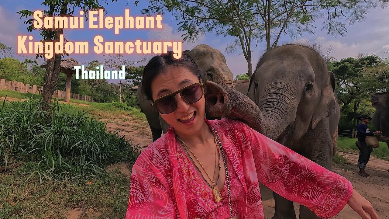 Explore the Samui Elephant Kingdom Sanctuary with tourists in this captivating video.