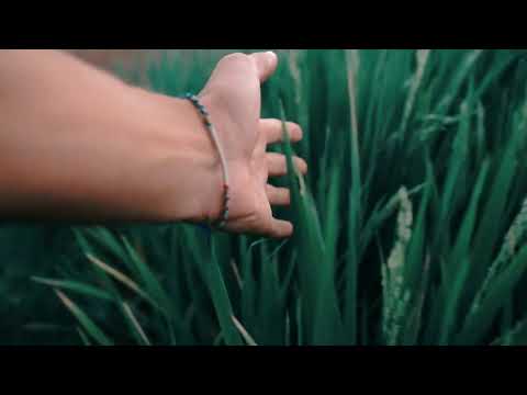 éxtasis - ZEMOGA ft. JyuNi