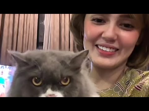 Uqasha Senrose and Toots 😻