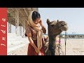 PUSHKAR, INDIA - DESERT SAFARI, my first camel ride!
