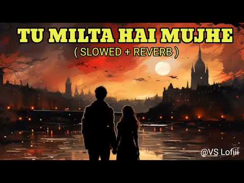 Tu Milta Hai Mujhe - lofi song 