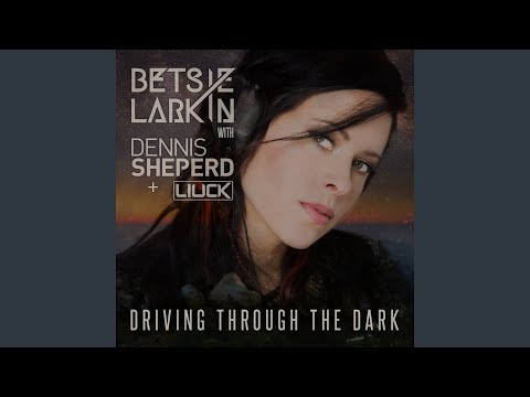Driving Through the Dark (Extended Mix)