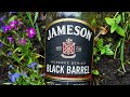 Jameson S Black Barrel 40 Whisky Wednesday