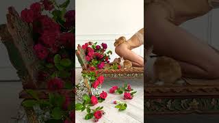 #short #shorts #shortvideo #cute #cat #animals