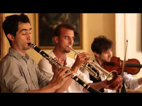 Hippocampus Jass Gang [OFFICIAL TEASER]