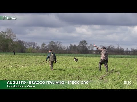 DERBY CONTINENTALI 2017 - TURNI DI COPPIA E PREMIAZIONI CONTINENTALI ITALIANI