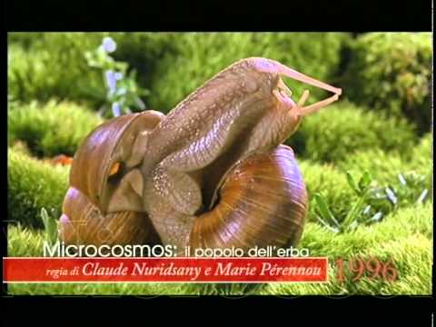 CultBook    Poesie Szymborska