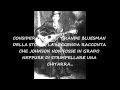 LA STELLA DEL BLUES - La leggenda di Robert ...