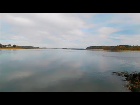 Win-Win by Mimmi Bangoura featuring Tilden Parc - A Music Video