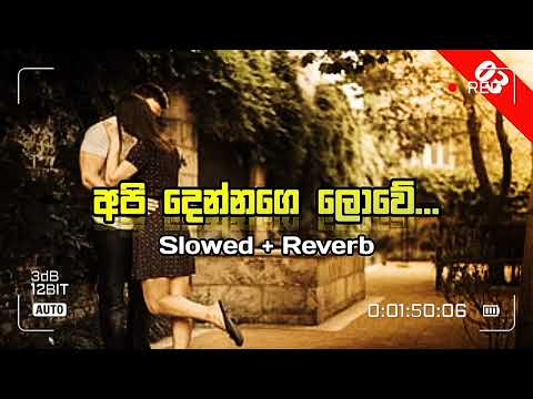අපි දෙන්නගෙ ලොවේ (සෑමදා මං ඔබේ ) | Api dennage lowe | Slowed + Reverb | 2024