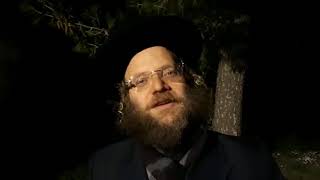 שבת שמחה - חיזוק יומי מהרב צבי חלמיש שליט"א