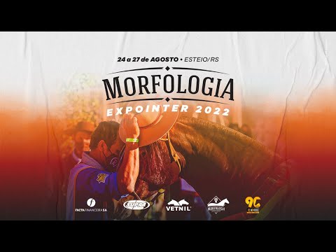 Morfologia da Expointer - Categoria Égua Menor e Égua Adulta (26/082022)
