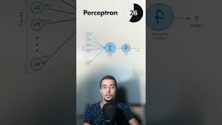 Perceptron - Machine Learning Model In One Minute