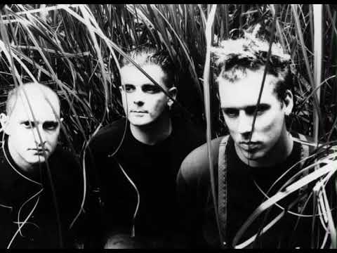 The Wolfgang Press - A Second Shape [full album]