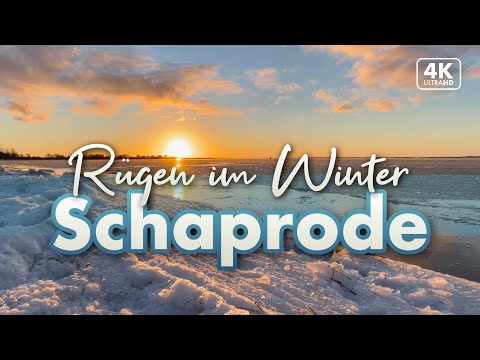 Sonnenuntergang mit Blick auf Hiddensee - Schaprode Rügen 2022 (4K Walk / ASMR)