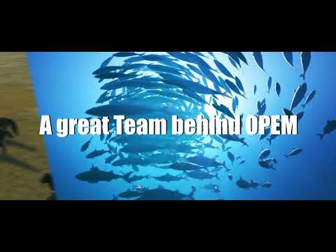 Adaptation is our keyword - Opem Green