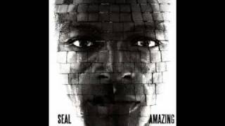 Seal - Amazing (Thin White Duke remix)