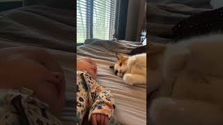 Cat Welcomes Newborn Baby 🐱👶🏻