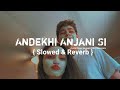 Andekhi Anjaani Si Slowed And Reverb Song Lata Mangeshkar Udit Narayan Mujhse Dosti Karoge