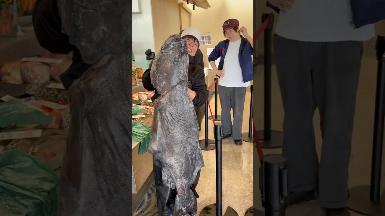 休み前に超巨大魚が！！