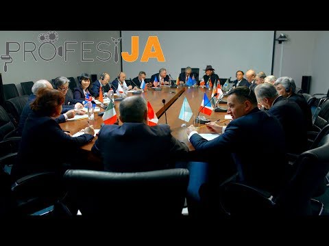 PROFESIJA 2 - Političar