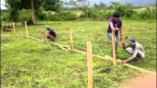 Training Aid: Prayer for Generosity/Panalangin sa Pagiging Bukas-Palad