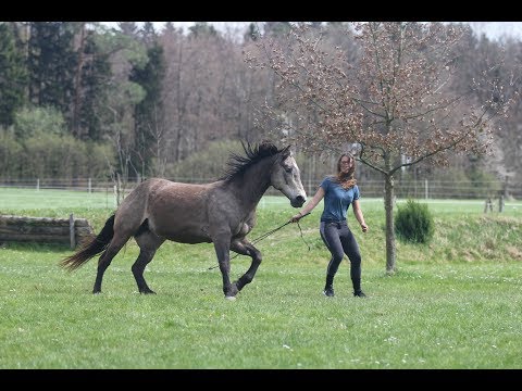 Possible?! [10 Days with Mustang Sage] / Liberty