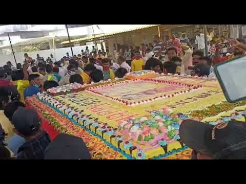 biggest cake in the world