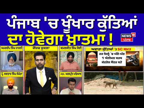Khabran Da Prime Time | ਪੰਜਾਬ 'ਚ ਖੂੰਖਾਰ ਕੁੱਤਿਆਂ ਦਾ ਹੋਵੇਗਾ ਖ਼ਾਤਮਾ ! | CM Mann | SC on Stray Dogs