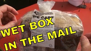 USPS 'WE CARE' Box Soaking Wet. What's Inside?!