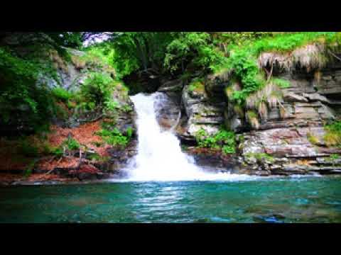 Video 95 sensibilità chimica multipla (164)