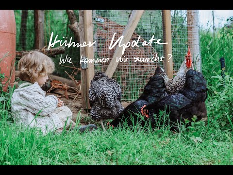 [HÜHNER] Wie kommen wir zurecht? Welches Futter? Wie geht's mit dem Hahn? Antworten auf eure Fragen