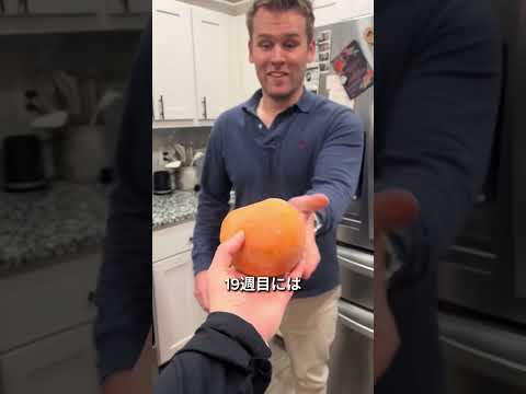 5週目から出産までの旅