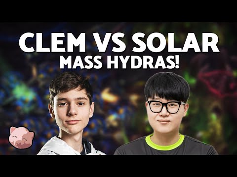 CLEM vs SOLAR'S Mass Hydra Build