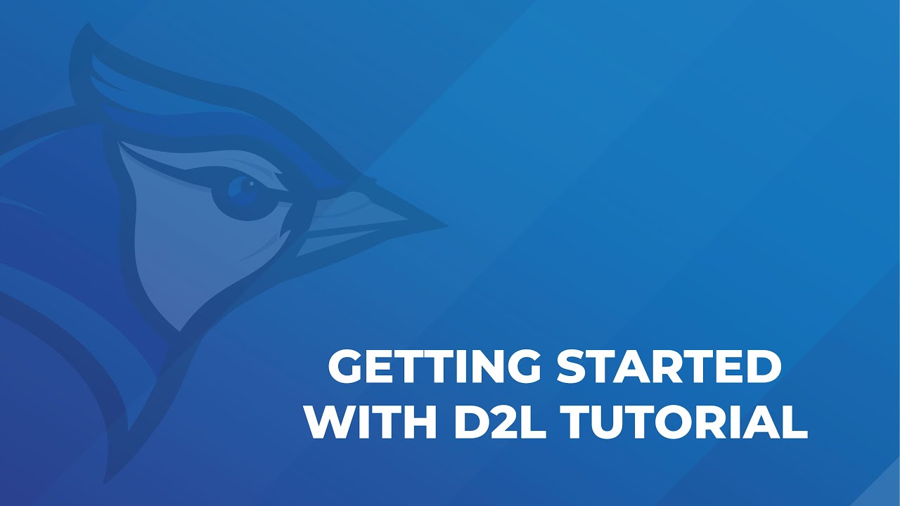 Getting Started With D2L Tutorial