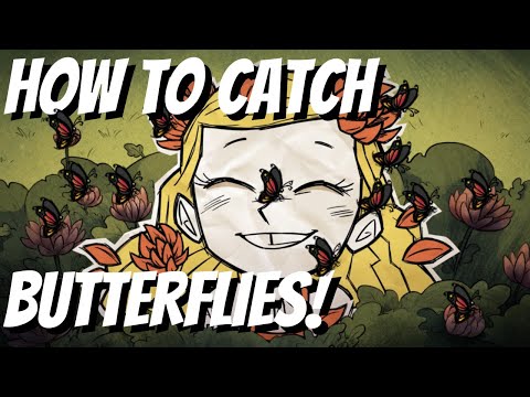 How To Catch Butterflies in Don't Starve Together - Butterflies in DST - Butterflies  Don't Starve