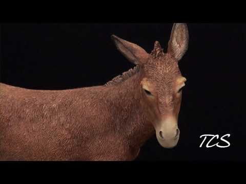 Ebony VisionsThe Nativity Donkey