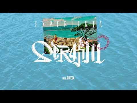 Serafim - Experiență