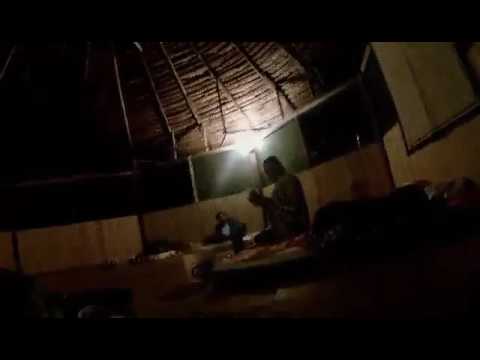 Ayahuasca Ceremony by Wiler