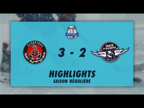 Scorpions de Mulhouse 3-2 Ducs d'Angers  - Highlights - Synerglace Ligue Magnus 2022/23