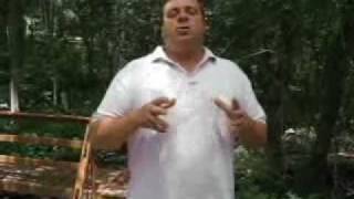 Dog Behavior Training - How to properly socialize your dog