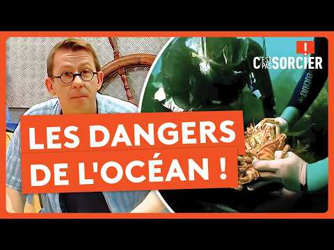 What are the dangers of the ocean? - It's not rocket science