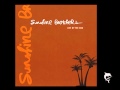 Sunshine Brothers - Sink or Swim 